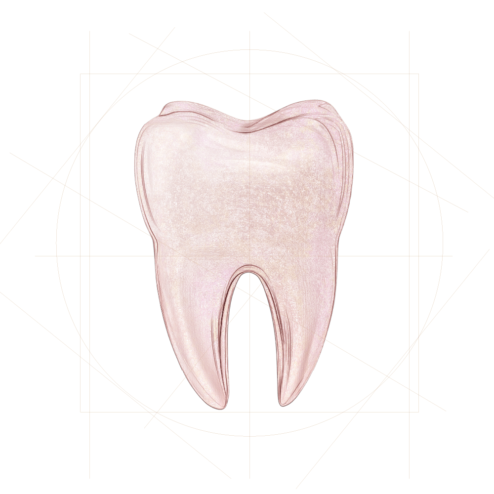 Leodent_Dental_Clinic_Bölümler_2025_Dis_Tedavileri-min